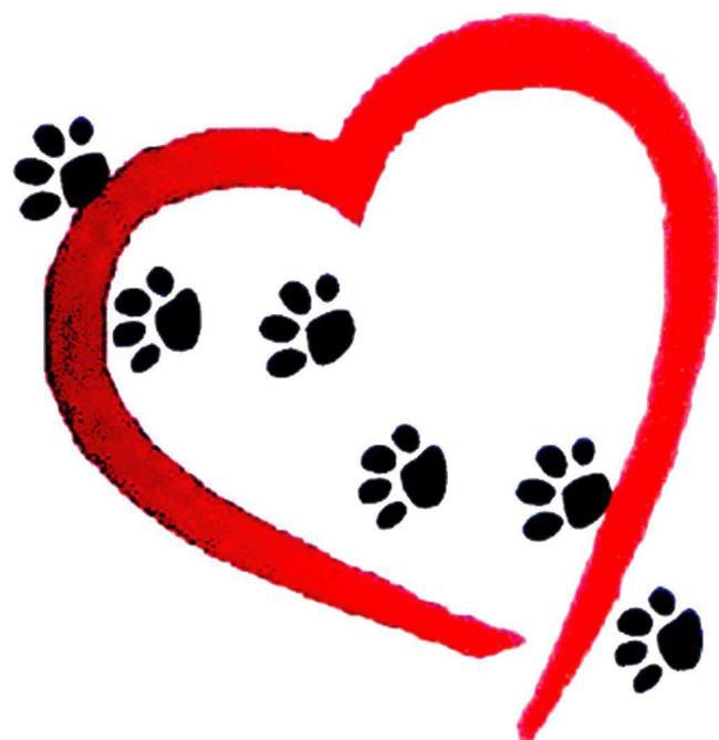 It's our Valentine's weekend - 13th &amp; 14th February. Come and meet our Lonely Hearts cats!
cats.org.uk/birmingham/fea…