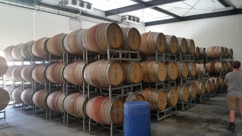 Tasting at moores wilson tory st 2day 2pm / 6pm Schippers beer cans, Funk Estate  cans, &amp; Whitehaven Chardonnay