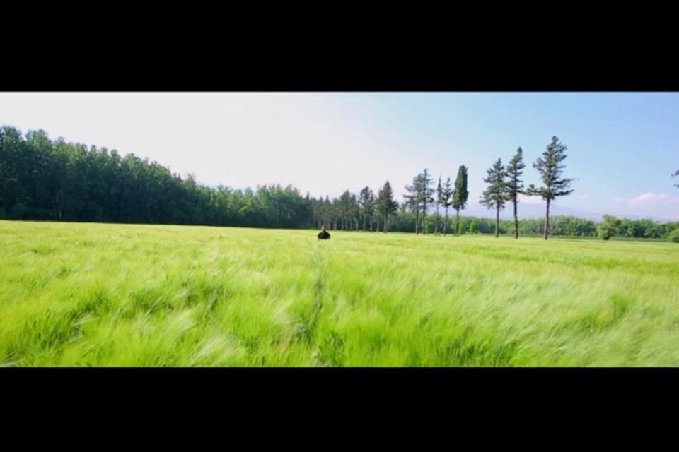 gowiper's tweet image. #wiperfilmfestival Winter 2015 fan fav: "Keep It as a Memory" by R. Sawma, Lebanon. Watch: goo.gl/UMmtem