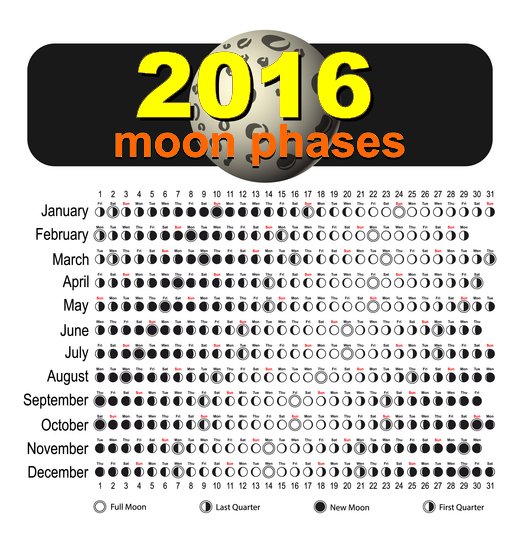 CyberspaceLabs's tweet image. 2016 Moon Phases #Moon #Luna #Lunar #Space #NASA #USA #SpaceCityUSA