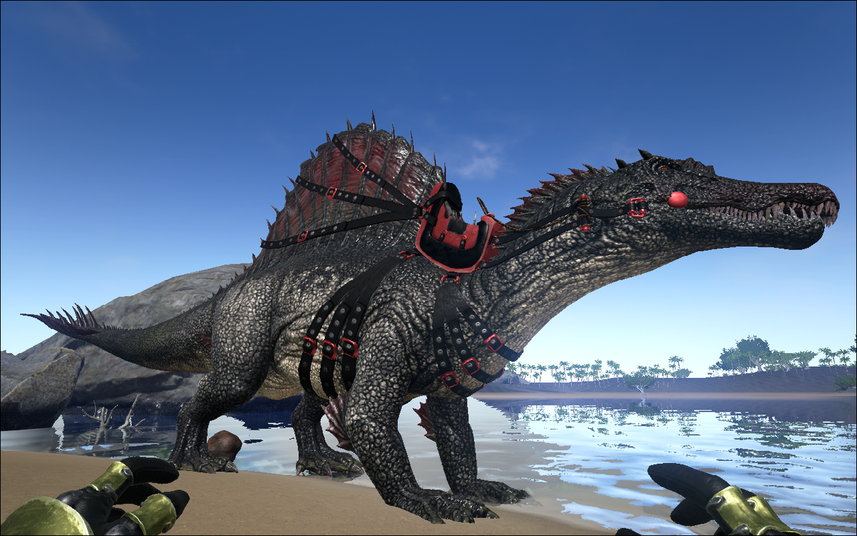 wolfzak_'s tweet photo. @mazion1 behold my amazioning black and red 116 perfect tame spino and amazioning journeyman saddle! :D https://t.co/GnZK7vgw7f