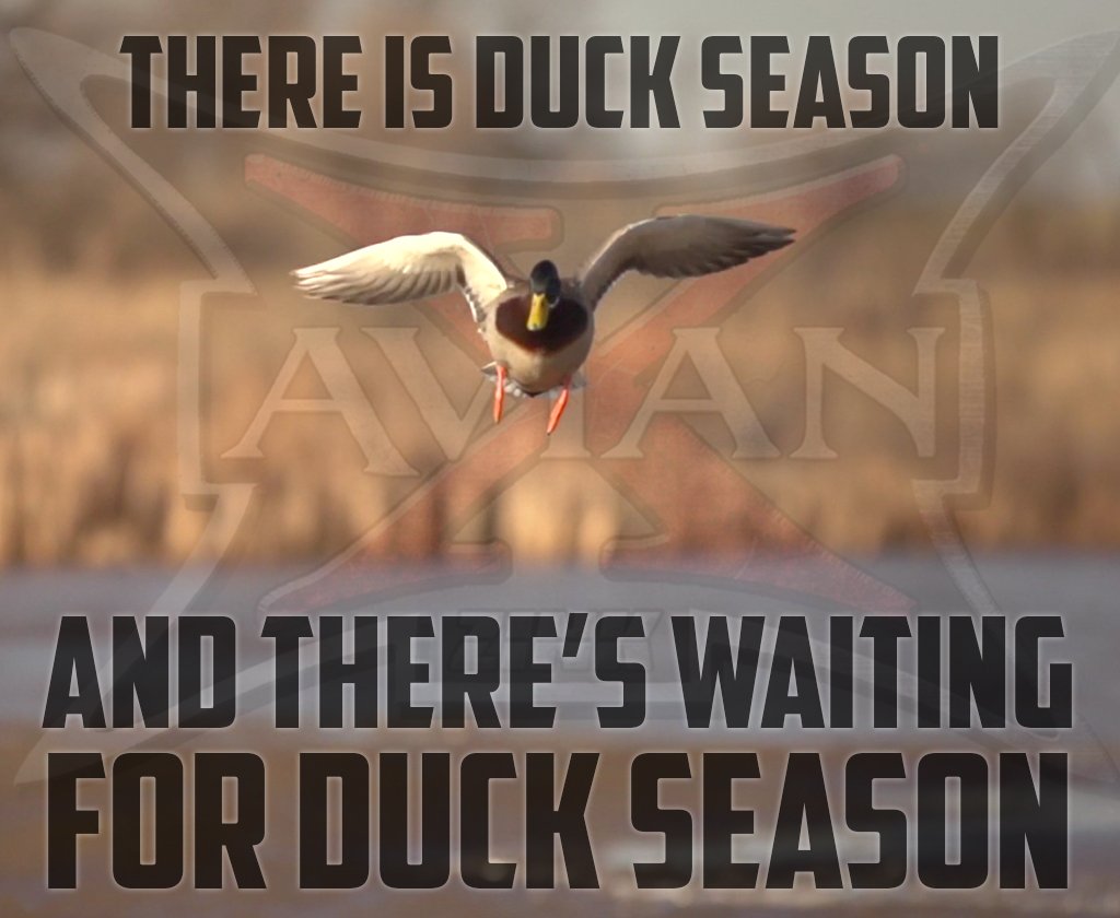 ZinkCallsAvianX's tweet photo. It's going to be a long wait! 

#ZinkCallsAvianX #DuckSeason #Waterfowl #DuckHunting https://t.co/aTOlpjwGz1