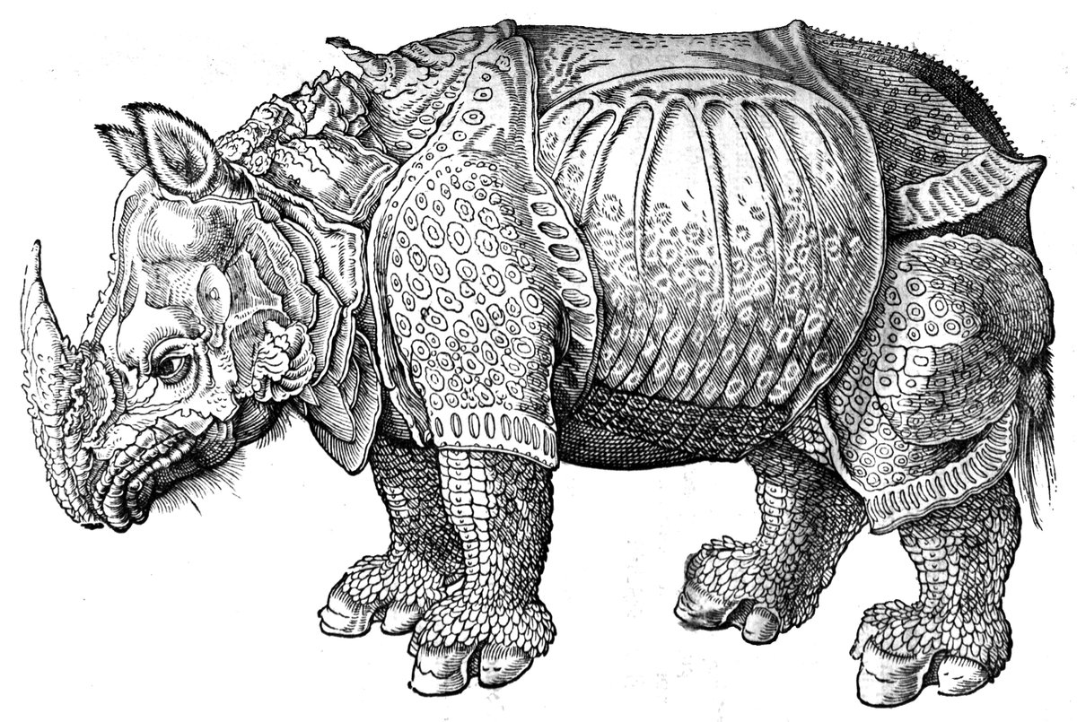 MUSpecColl's tweet photo. Release the rhino! Get today's pages at #EllisLibrary, or download here: https://t.co/ClQrAcS7BI #ColorOurColections https://t.co/9uKvlP5oOw