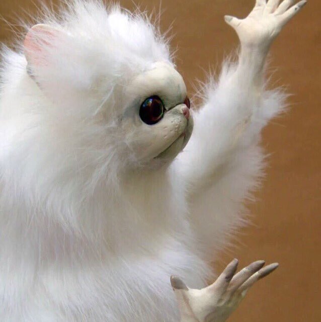 BHHSCHINESECLUB's tweet photo. When bæ puts too much ginger in the dumplings https://t.co/jwVKTtrSWn