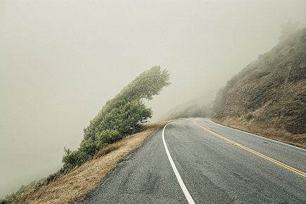 CoEditCollect's tweet image. "Muir Woods Road" by @ty_cole bit.ly/1mdNlbr #coeditpicks