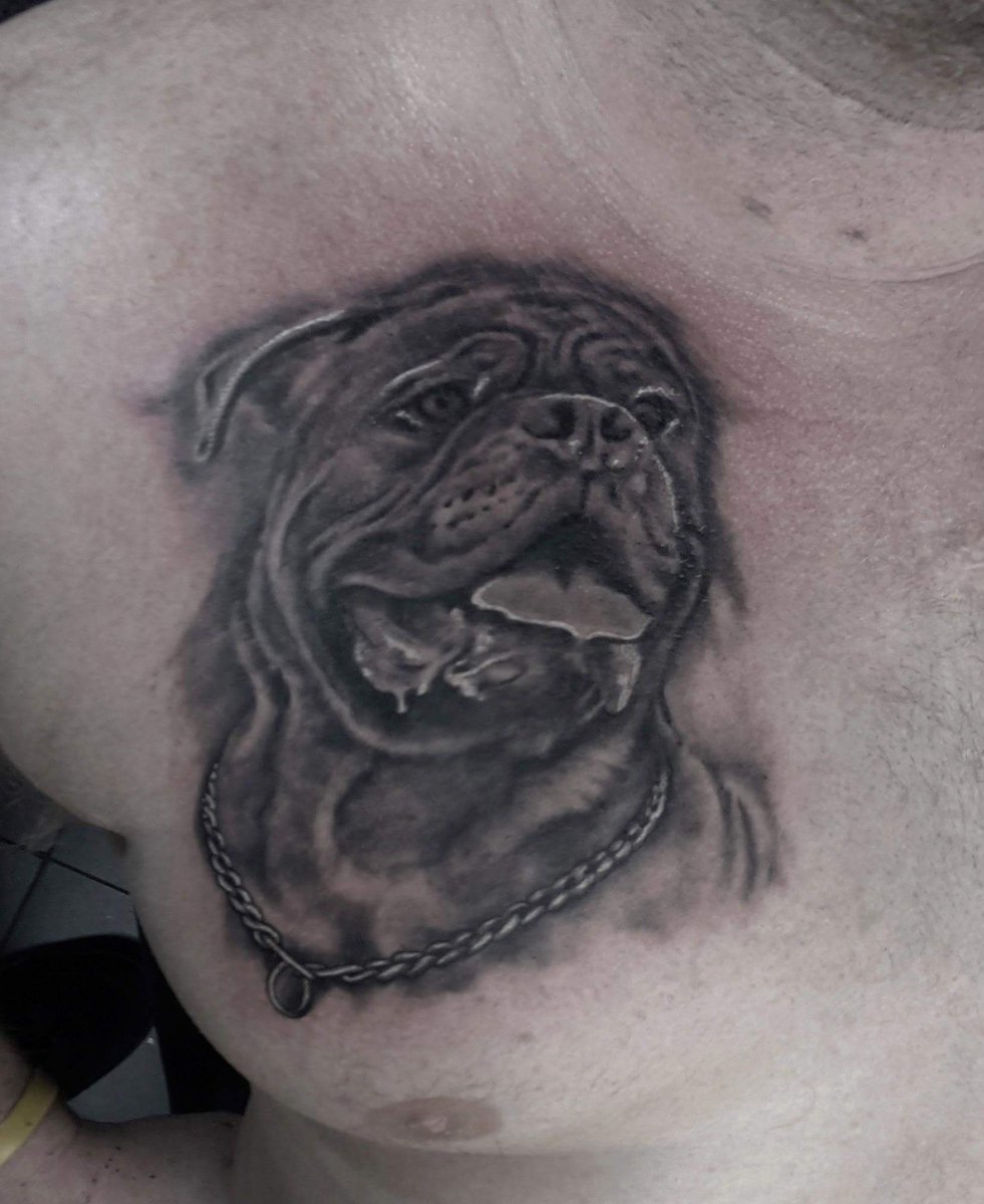 BergwijnSimone's tweet photo. Some artwork by #KingFerry #TattooPalace #Amsterdam #tattoo #Amazing #Art #Proud https://t.co/OQgwNB9eZ2