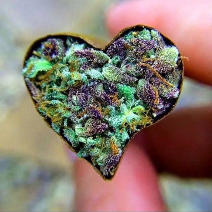 BudPictures's tweet photo. What I want for Valentines Day https://t.co/scVYVVqcCq