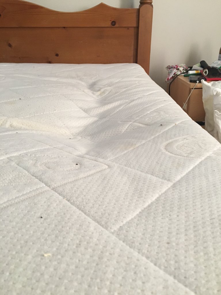 BeachCraftBrew's tweet photo. @Carpetright myself and my partner have had our bed 3-4years and this has happened to the one side https://t.co/WrM3YCtzLn