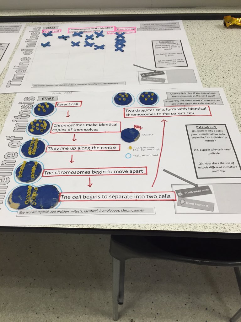 ogabiology tweet picture