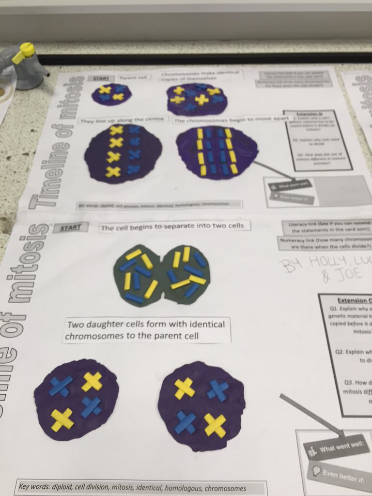 ogabiology tweet picture