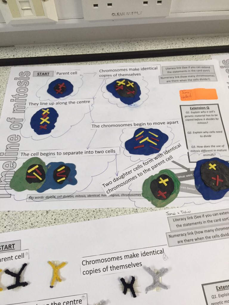 ogabiology tweet picture