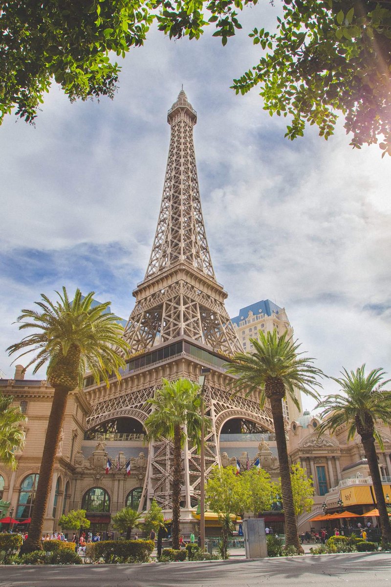 Reith_Photo's tweet photo. Copyright Emily Reith Photography missing #lasvegas #photography https://t.co/x315N6iWgQ