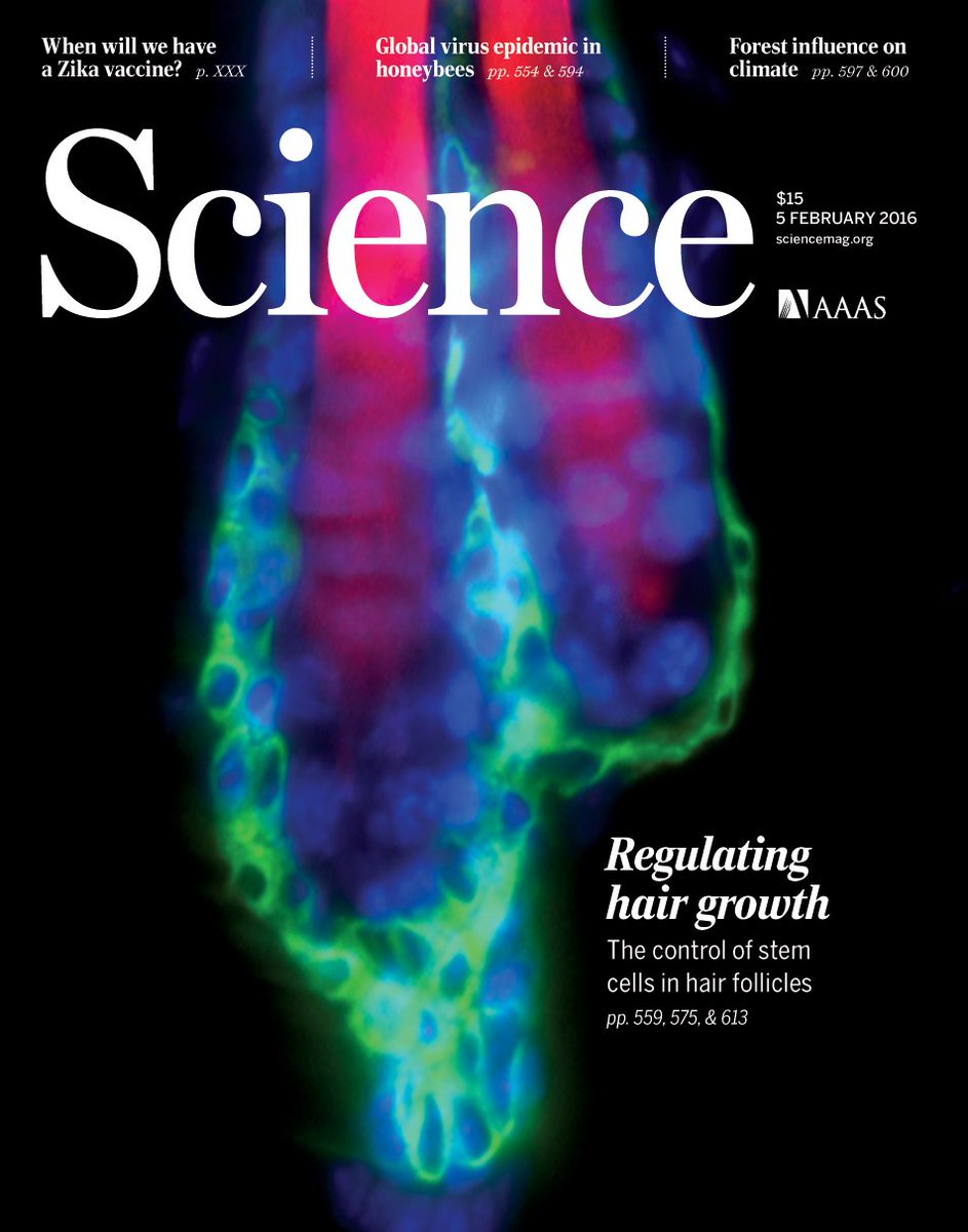 ScienceMagazine's tweet photo. How deforestation affects the Earth's climate, why batteries fail, &amp; more in our new issue: https://t.co/2ReFwRxJ9r https://t.co/C8fgTQBwEf
