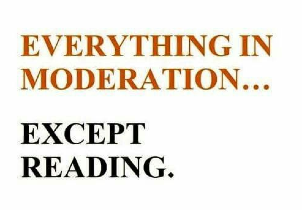 goodreads's tweet photo. There's no such thing as too much reading, right? https://t.co/hUJPrpyjda https://t.co/BMdDdTfgqZ