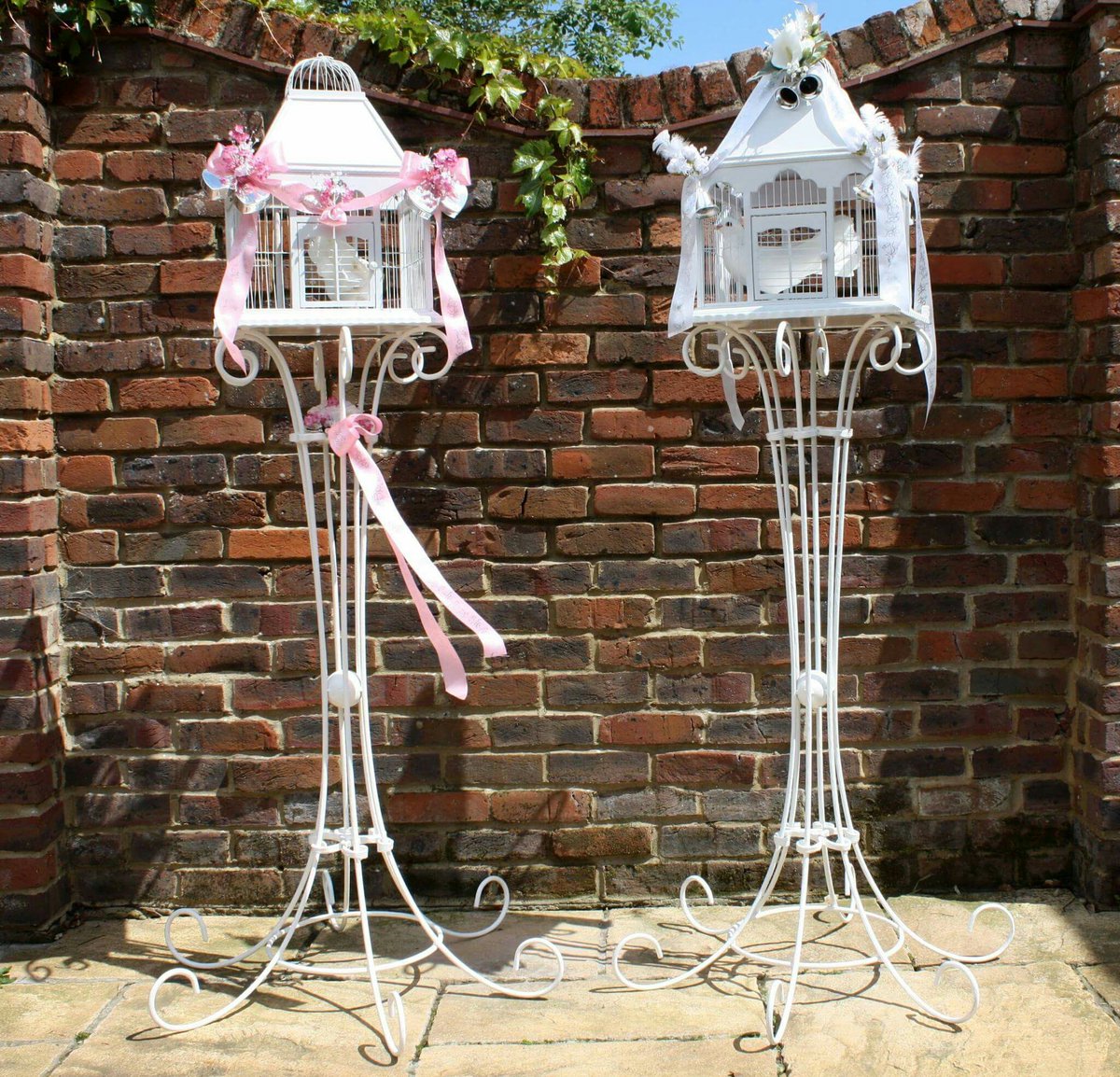 doves_release's tweet image. Dove Release at your wedding dovereleaseuk.co.uk