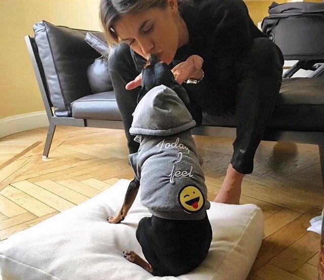 Tailorsden's tweet photo. Love me tender!! Lovely @JustElisabetta kissing Piero on a  @Tailorsden #cachemire #dogbed #canalis https://t.co/ikxL5fNYVN