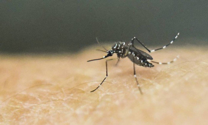 JornalOGlobo's tweet photo. Criação da maior rede de pesquisa sobre zika do país reúne 379 cientistas.  https://t.co/esYktWCxuz https://t.co/GbMGGJFo03