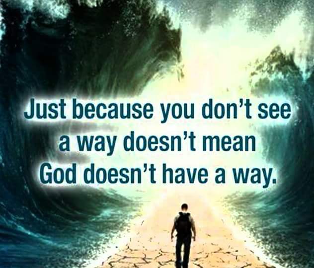 JarrayIssa's tweet image. 