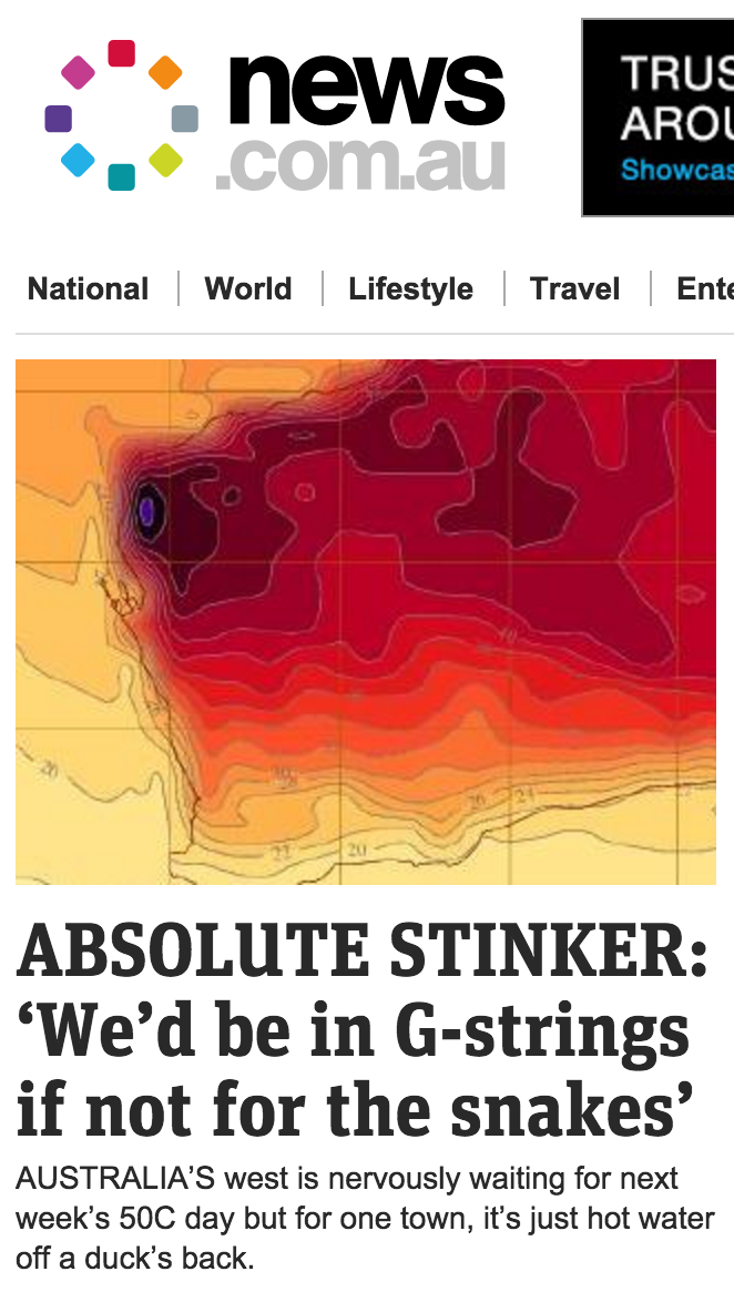 Pretty sure this is the most Australian news headline ever.