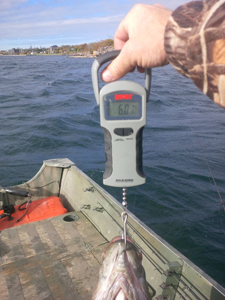 CanuckBassin's tweet photo. @Fortinfishing @Anglers_Choice like this one ;) https://t.co/nSqCMGaOD8