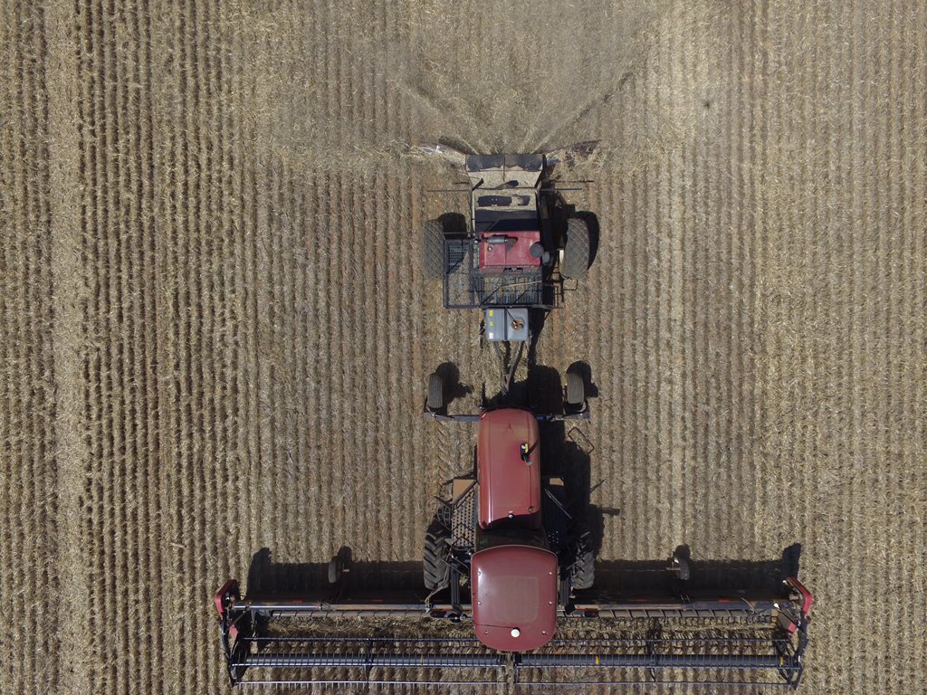grassrootsag's tweet photo. Farm built mulcher in action today @markt8040 13.5m Macdon w. trailing MAV. Very impressive #innovation #ShowAndTell https://t.co/AbWpMgCmpm