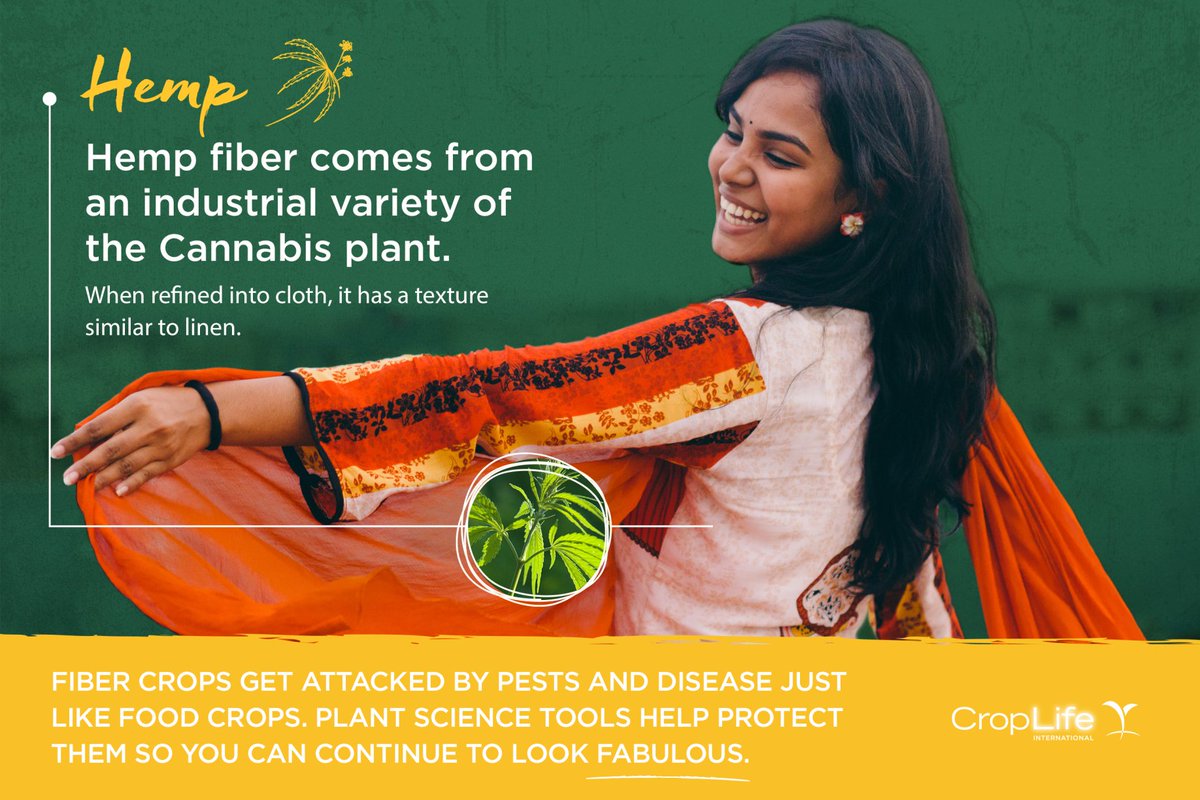 CropLifeIntl's tweet photo. #DYK that the water requirement of hemp is 14x lower than that of cotton? #PlantScienceTextiles https://t.co/6RY3aJfoev