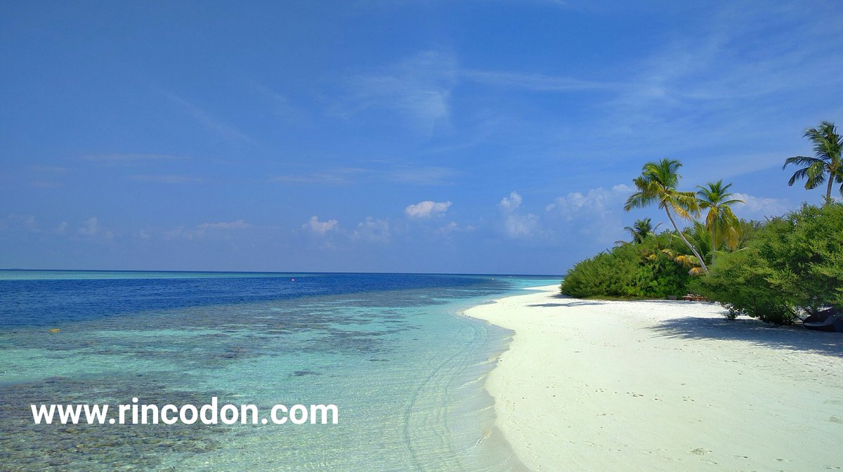 RincodonHotel's tweet photo. Happy Friday! #Maldives #Travel #Islandlife #adventuretravel #horizon #Maamigili #RincodonHotel #love https://t.co/fs6WhZXg6F