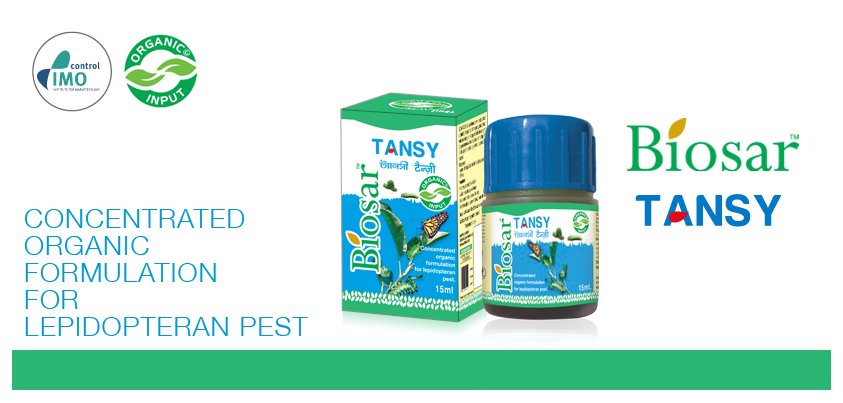 Biosar_IN's tweet photo. #Biosar's #organic formulation for lepidopteran pest - Tansy disturb the lifecycle of pest https://t.co/dl4YHl7grp https://t.co/ejgKEjtOZz