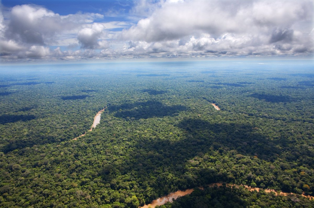 amazonwatch's tweet photo. The Amazon is the world’s largest &amp; most biodiverse tropical rainforest. #ExploreTheAmazon: https://t.co/kAqcEeiiX8 https://t.co/74RNy8kelI