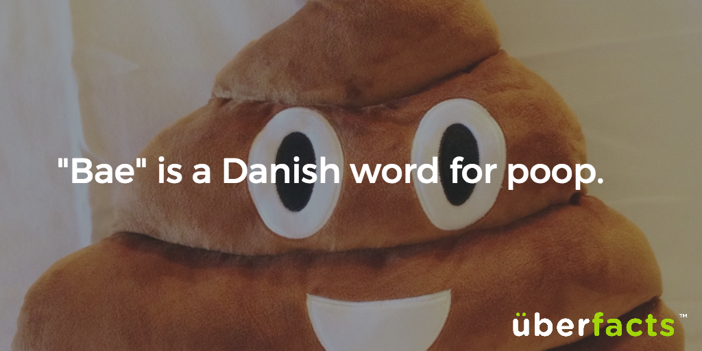 UberFacts's tweet photo. Ha! https://t.co/CoJViX397u
