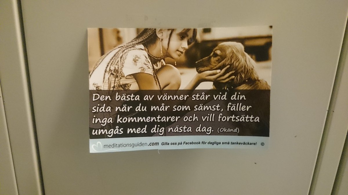 eemmacj tweet picture