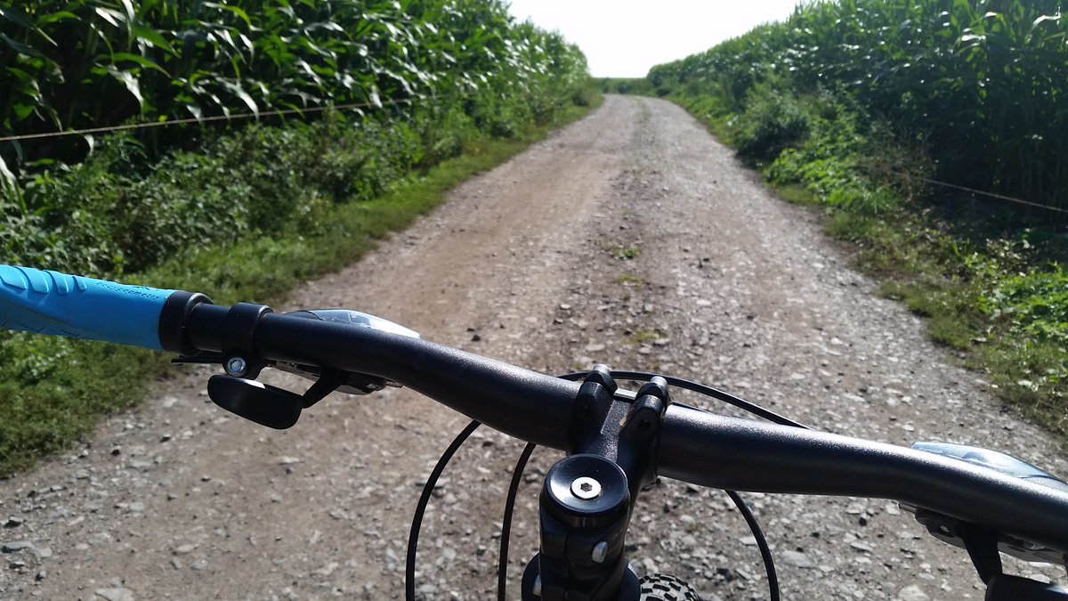 SamHaxton's tweet image. Check out my 1st #Solo #Ride! #MyFirstBlog #MTB #MTBGirl #MTBLife #Blog #Somerset #Passion  mtbgirllife.wordpress.com/2016/02/04/my-…