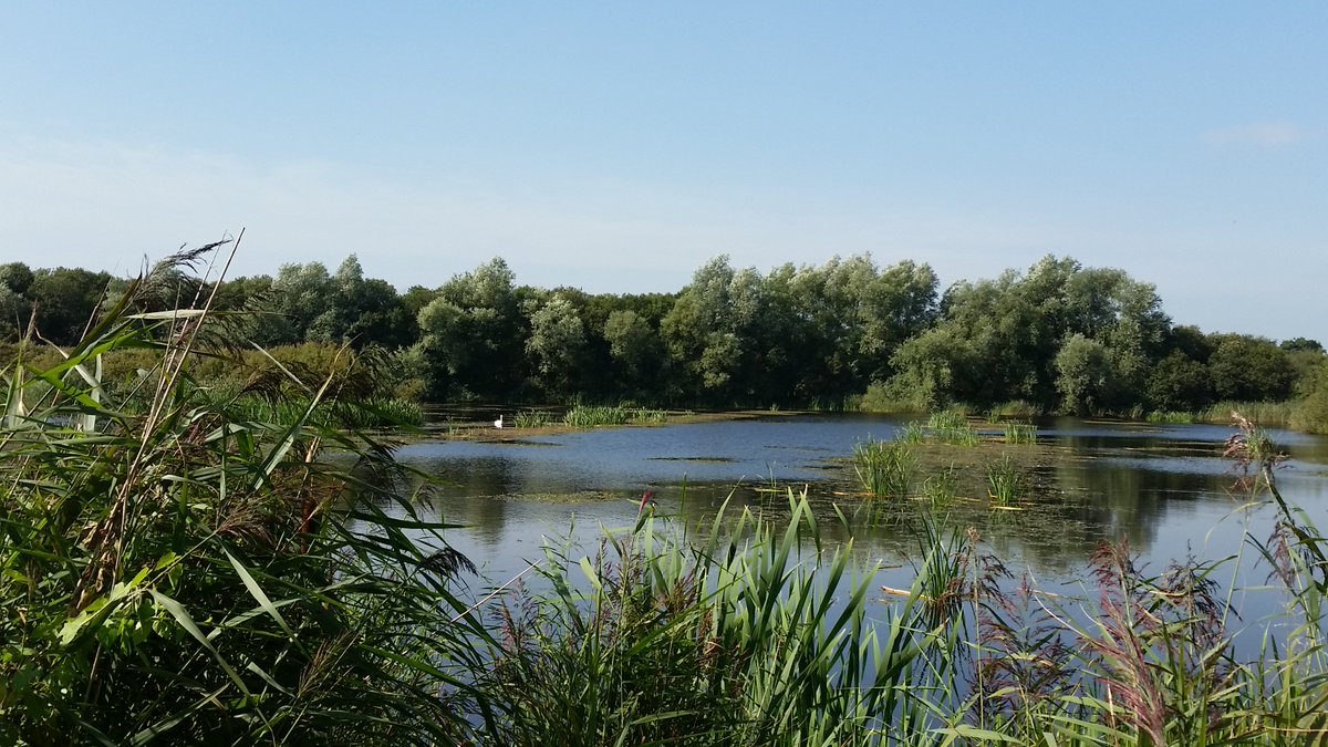 SamHaxton's tweet image. Check out my 1st #Solo #Ride! #MyFirstBlog #MTB #MTBGirl #MTBLife #Blog #Somerset #Passion  mtbgirllife.wordpress.com/2016/02/04/my-…