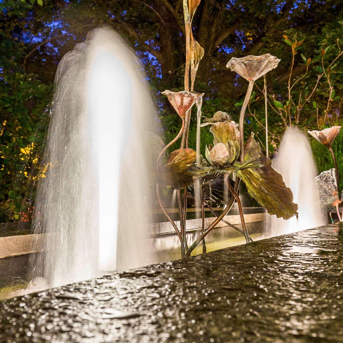 Your own little fountain of youth. View more of 1 Sheaffe St, Holder visit luton.com.au/5492651 #picoftheweek