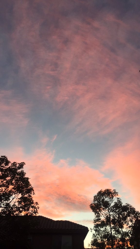 conradupdates's tweet photo. #RemindMeOfThatTime when we witnessed this GORG sunset!! π Take us backkk! #RemindMe π
https://t.co/9RxUYZu3u0