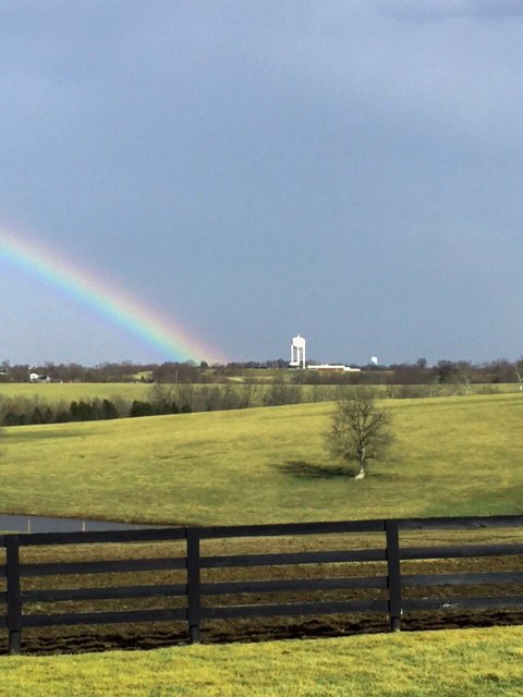 Shot from our 300-plus-acre equine farm, proof that Asbury University truly is the prize at the end of the rainbow.