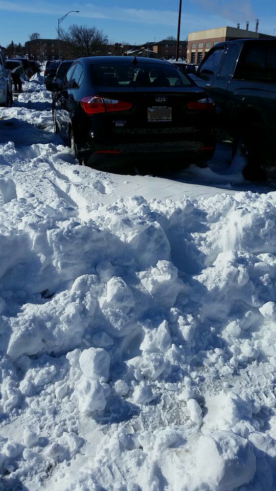 squidney_jo's tweet photo. I attempted to scoop out my car today since lab was postponed #CummingsWeek4 @UNKBiol106AC #bonus https://t.co/oJtSTKCBd2