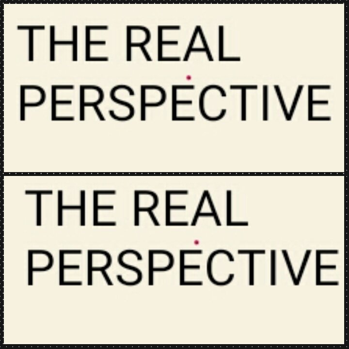TheRealPerspect tweet picture