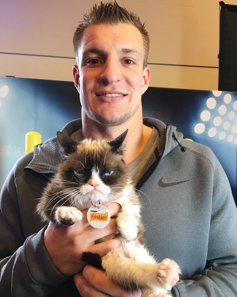 Grumpy Cat on Twitter: "Gronky Cat #SB50 https://t.co/AaEbBRcC3S" / Twitter