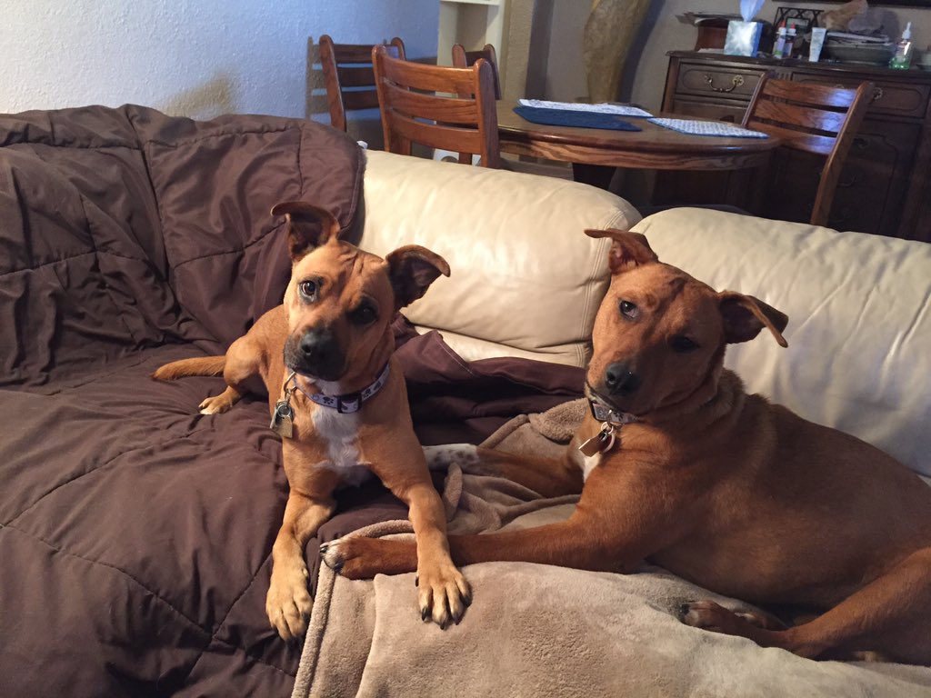 Spotofclass's tweet image. Becca and Lexi...