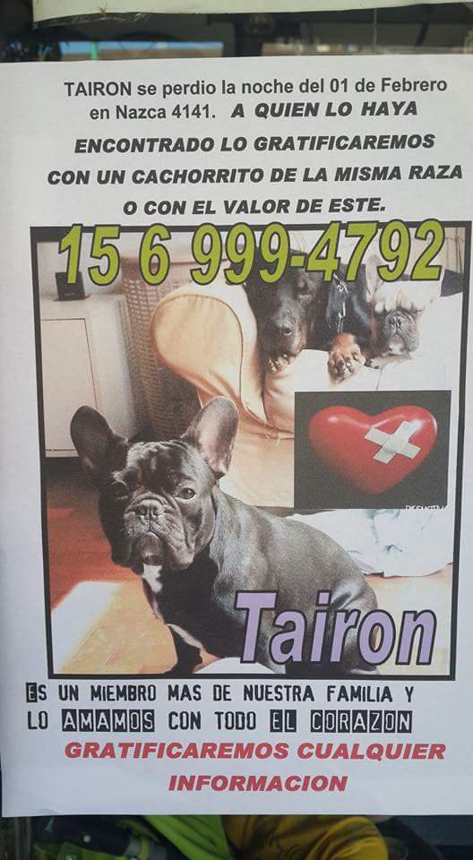 redringsalexis's tweet photo. @MuyMascotas @PETSitterBayres @Perros_Perd_Enc @Sarmientitos @PerrosdeMerlo @perrosdelalma @PerrosvteLopez @SaluPet https://t.co/vvKbgv5B7o