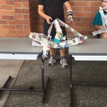 Photo by Lurnea Public School (@LurneaPS)