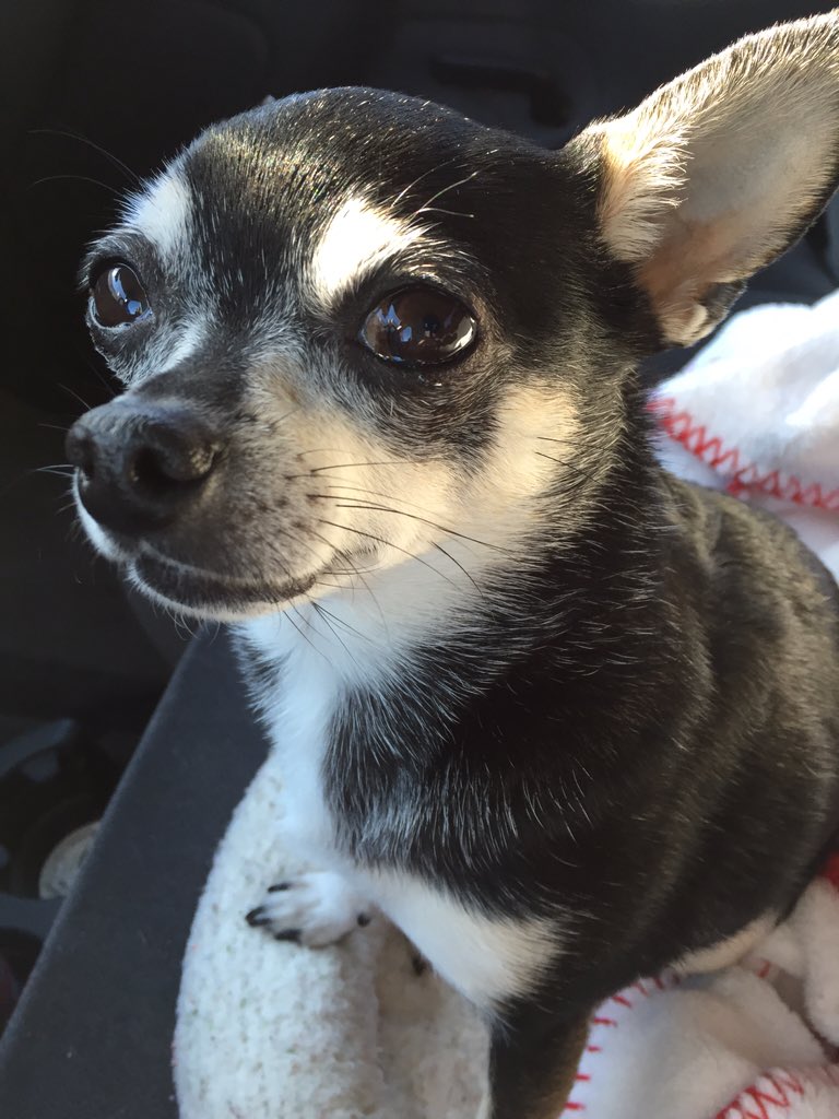 Lucy Lu Barker the Beautiful!!!