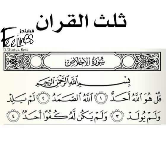 ElhoushyM's tweet photo. #شير https://t.co/jja0bpxDaN