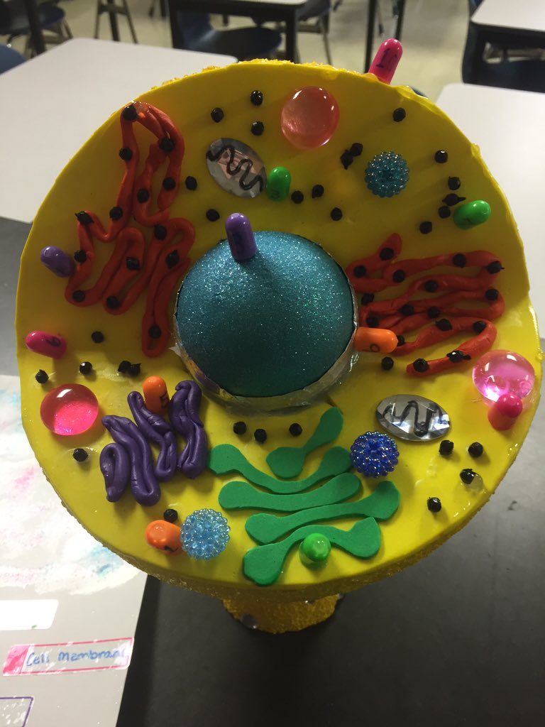 CMShowellsclass's tweet photo. Let the Cell Projects start rolling in!! Great work from my 7th graders! Very proud of them! #CellProjects https://t.co/QEHFZX1uCZ