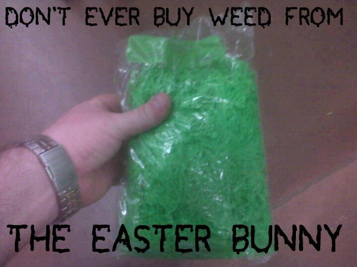 Finest_420's tweet photo. That fucker has ripped me off for the last time!!! #weed https://t.co/RtEYhm4d5J