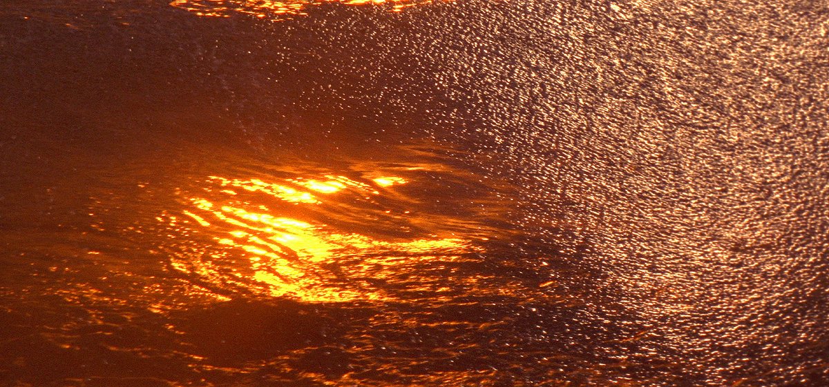 tmSF2016's tweet image. Image from installation FUNERA ET SERPENTIUM by Paul Clipson @somarts