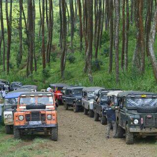 Dee qpro'A tweet media