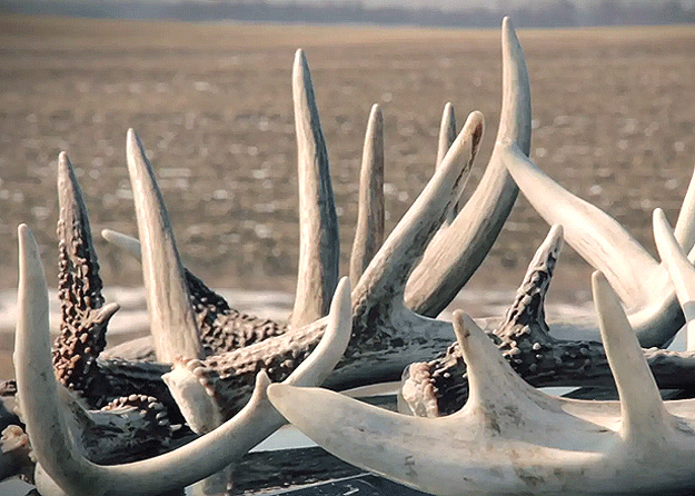 HunterVids's tweet photo. Enjoy some #outdoor #fun #shed #hunting on public land.
VIDEO:https://t.co/KJcqhBG2cI
#hunting @ETHunting #TBT #film https://t.co/VvLMqPe1qL