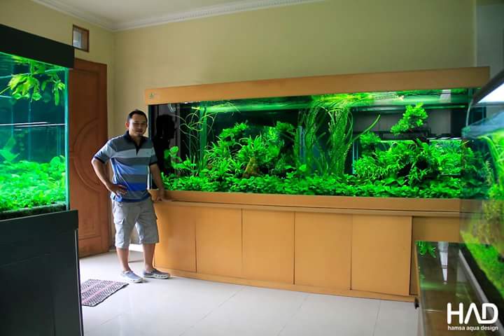 640 Hamsa Design Aquarium HD Terbaru